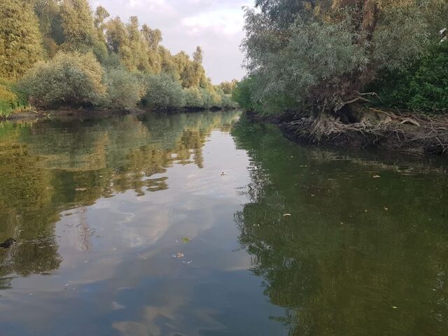 gallery/med/Delta_dunarii_canal.jpeg