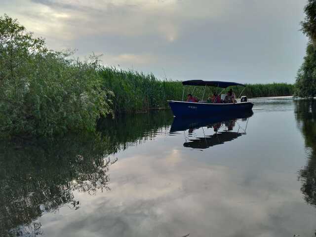 gallery/med/Delta_dunarii_canal_2.jpeg