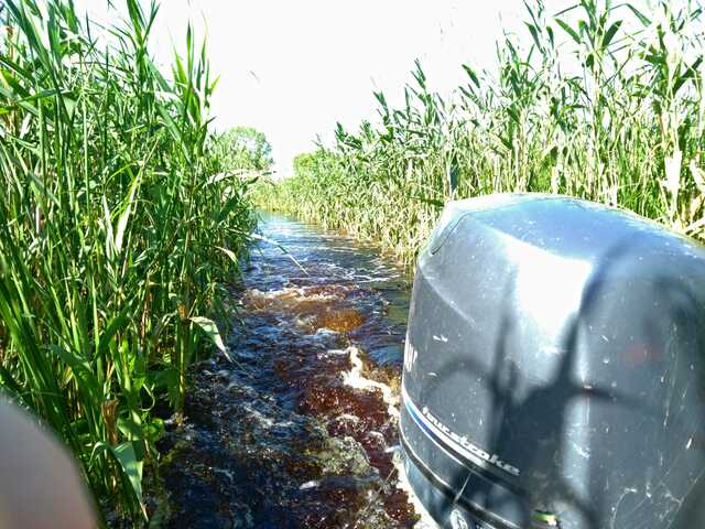 gallery/med/Delta_dunarii_canal_3.jpeg